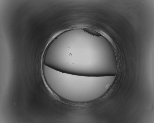 X0000086021055200703230928