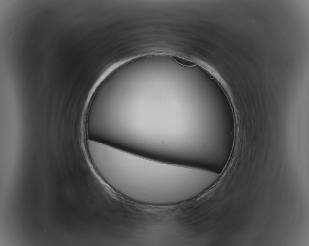 X0000086021056200703230928
