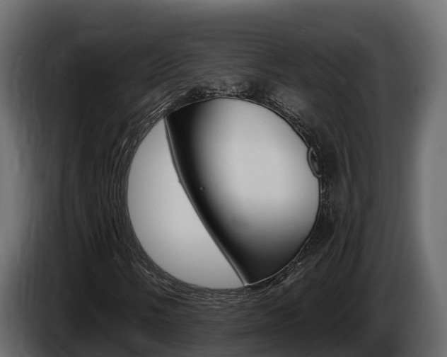 X0000086021058200703230928