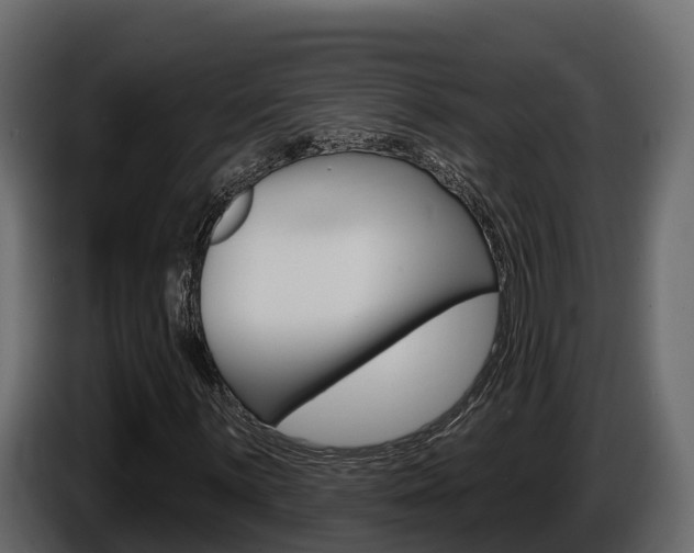 X0000086021059200703230928
