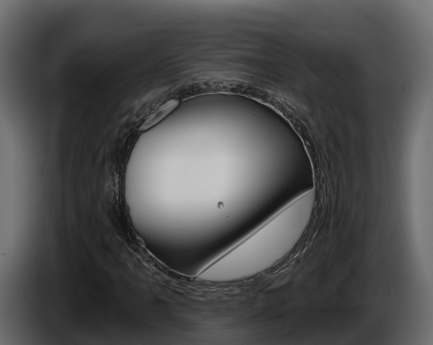 X0000086021061200703230928