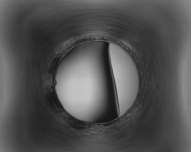 X0000086021062200703230928