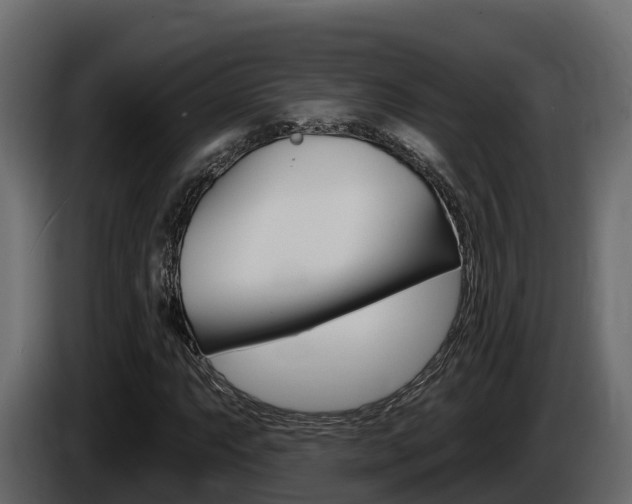 X0000086021063200703230928