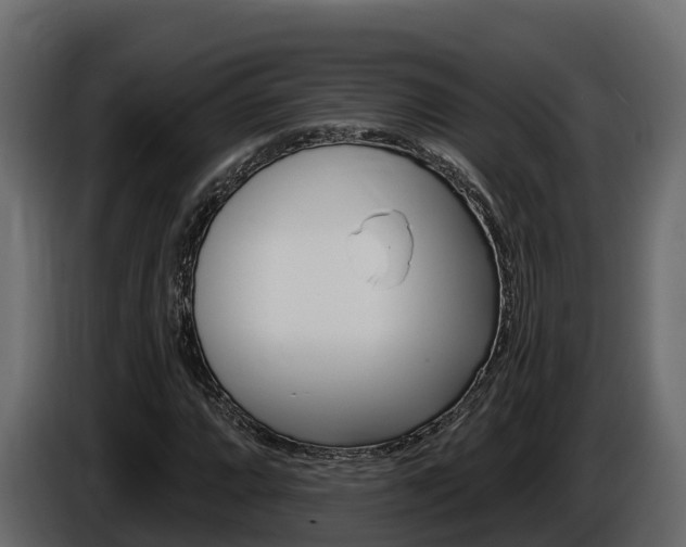 X0000086021064200703230928