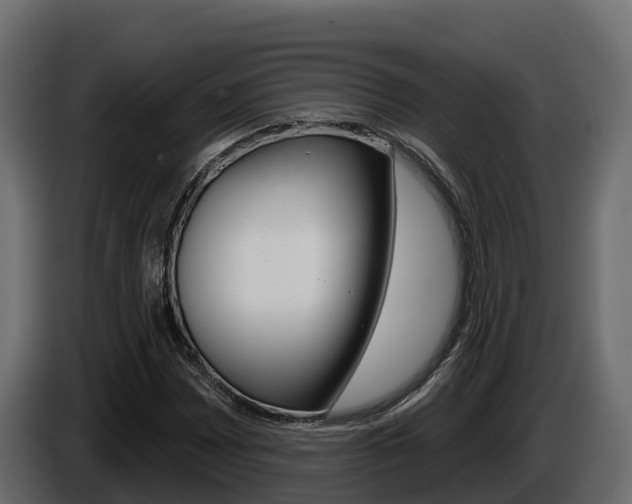 X0000086021065200703230928