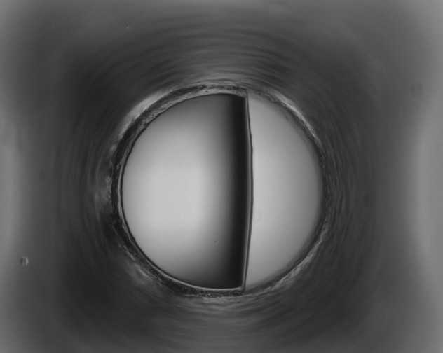 X0000086021066200703230928