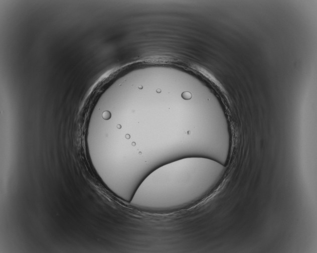 X0000086021067200703230928