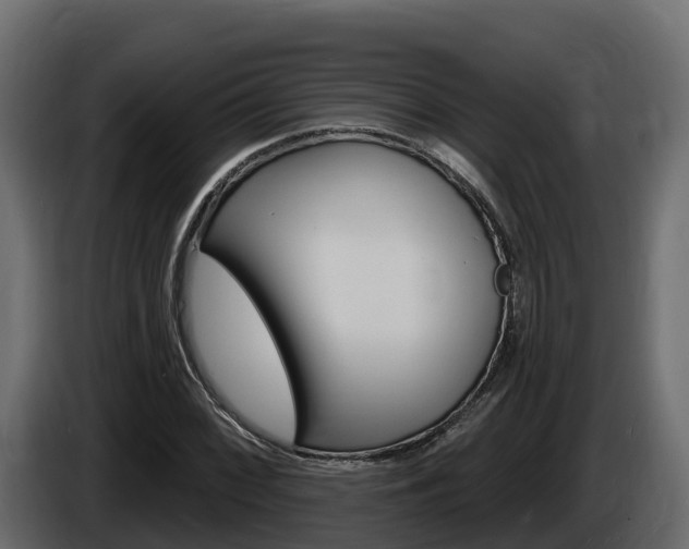 X0000086021068200703230928
