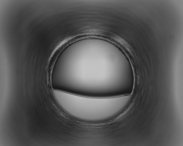 X0000086021069200703230928