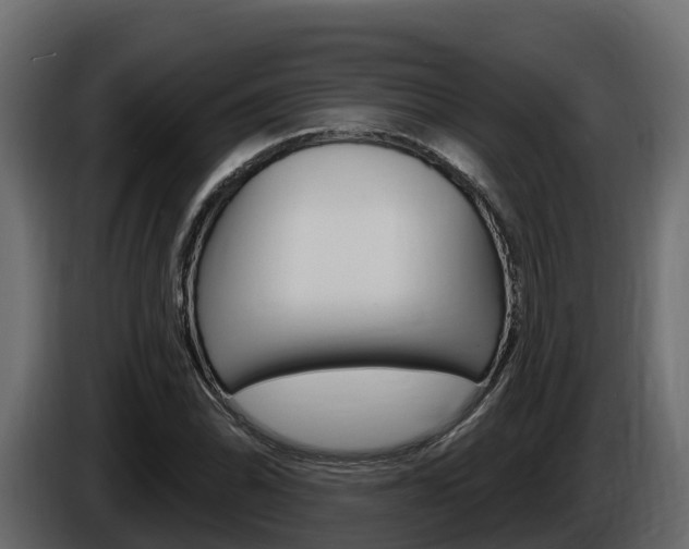 X0000086021070200703230928