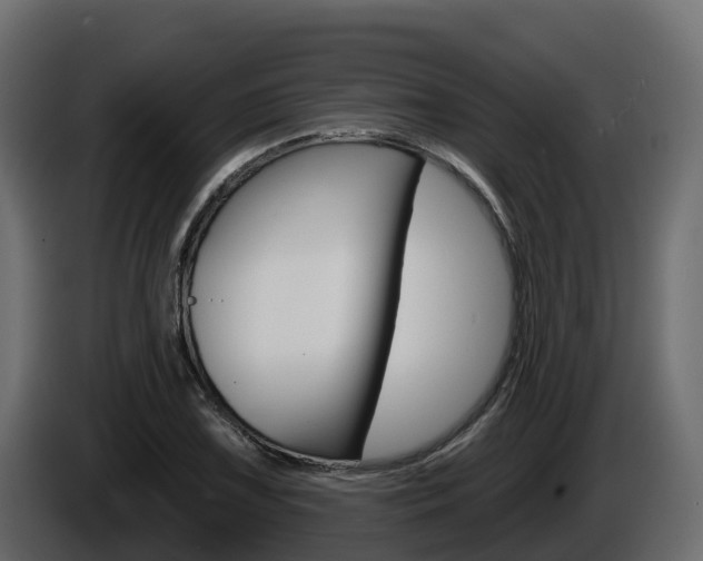 X0000086021075200703230927