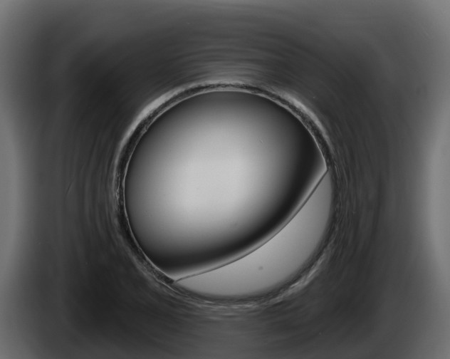 X0000086021077200703230927