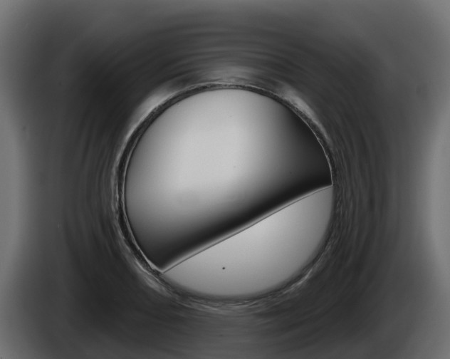 X0000086021082200703230927