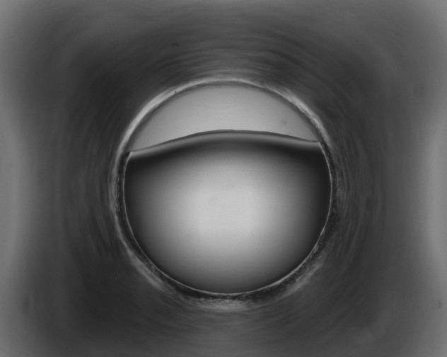 X0000086021085200703230927