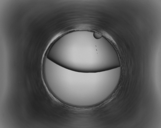 X0000086021087200703230927