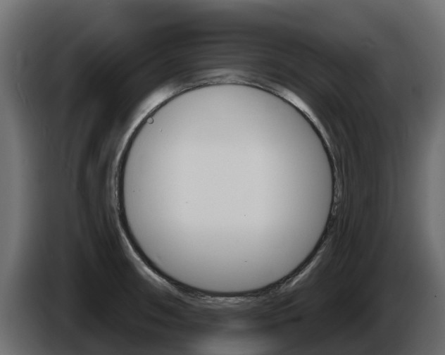 X0000086021090200703230927