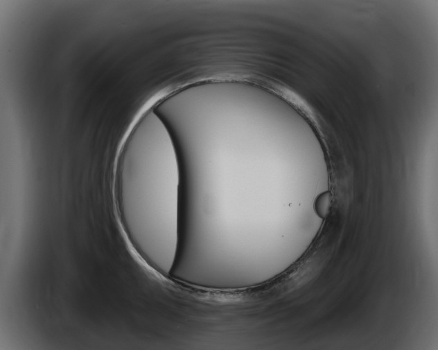 X0000086021095200703230927