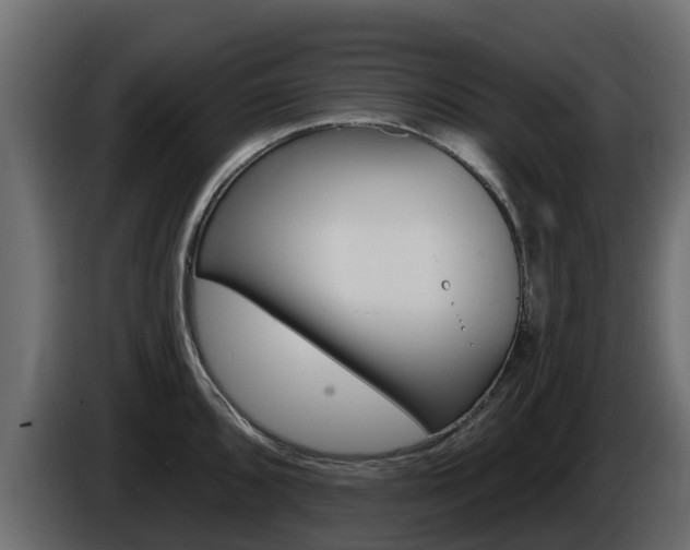 X0000086021096200703230927
