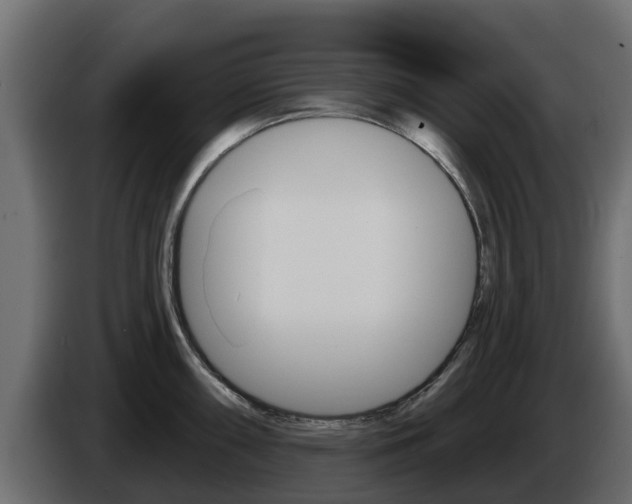 X0000086021098200703230927