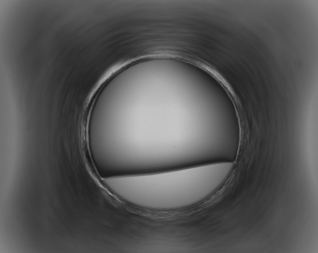 X0000086021101200703230927