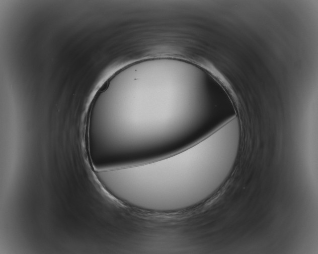 X0000086021102200703230927