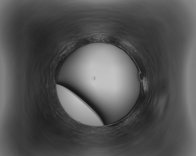 X0000086021107200703230926