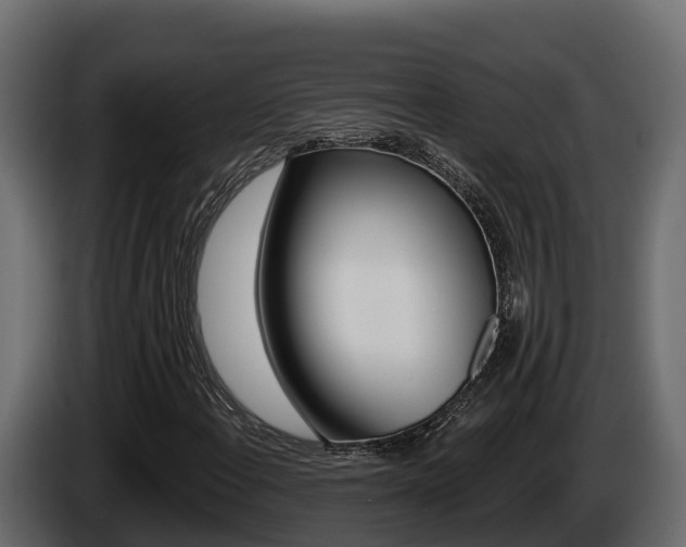 X0000086021108200703230926