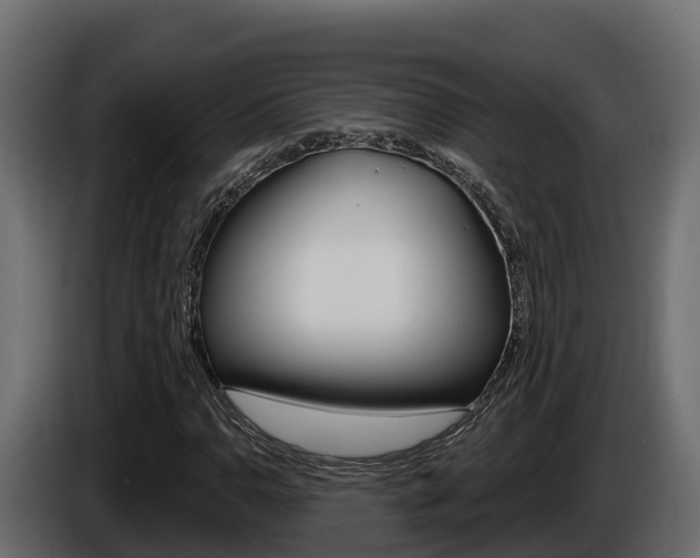 X0000086021110200703230926