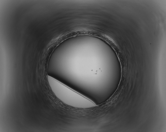 X0000086021111200703230926