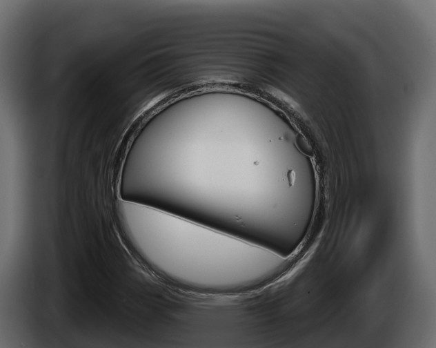 X0000086021113200703230926