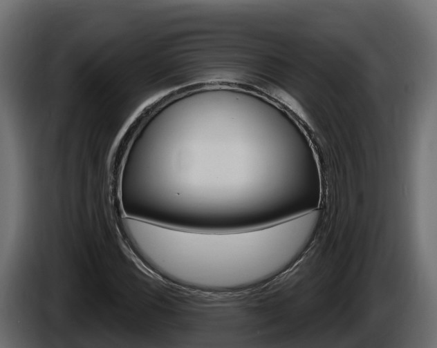 X0000086021116200703230927