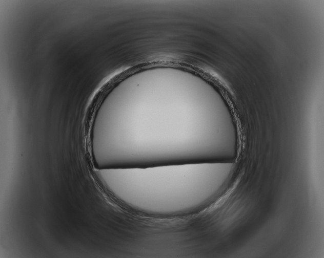 X0000086021117200703230927