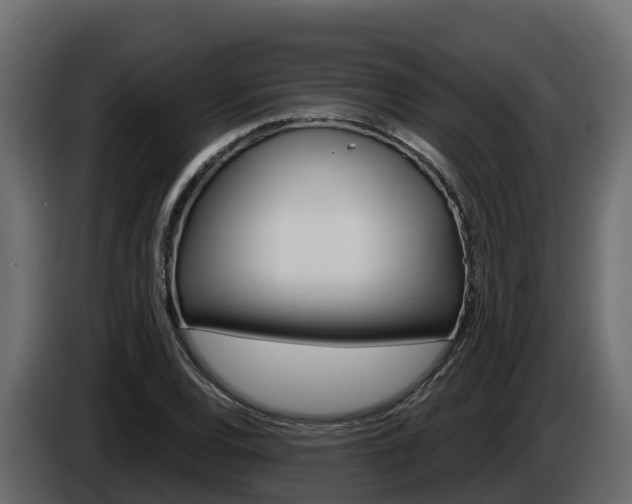X0000086021120200703230927