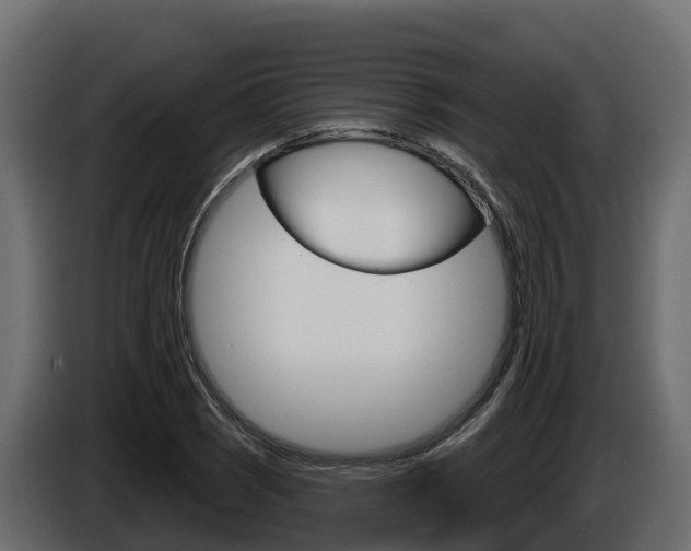 X0000086021121200703230927