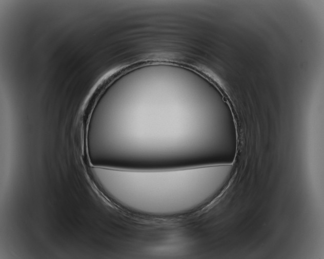 X0000086021123200703230927