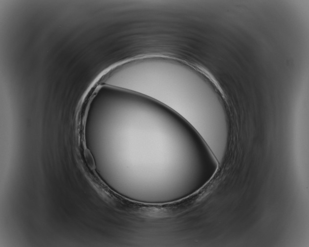 X0000086021124200703230927