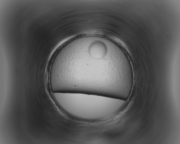 X0000086021125200703230927