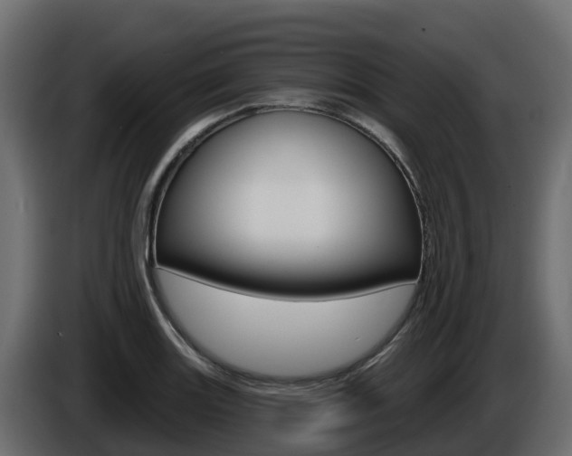 X0000086021131200703230927