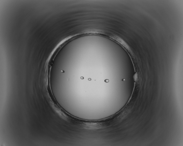 X0000086021132200703230927