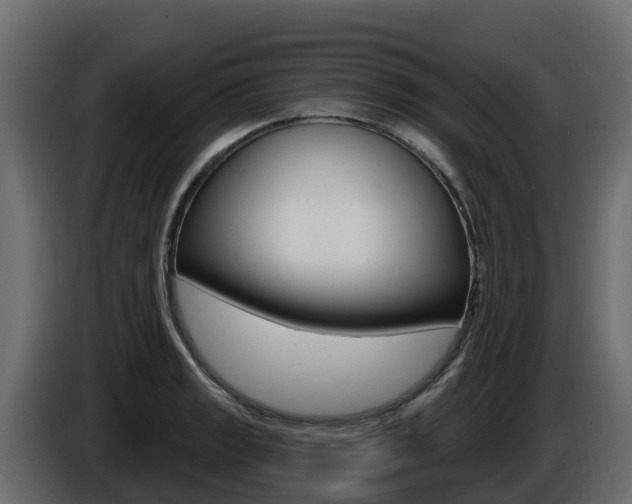 X0000086021133200703230927