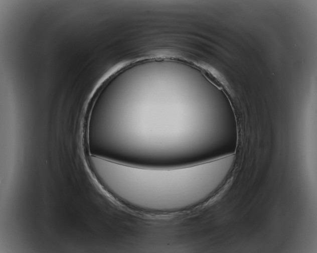 X0000086021134200703230927