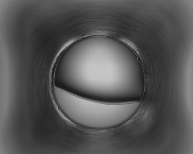 X0000086021135200703230927