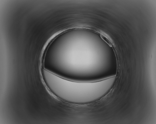 X0000086021136200703230927
