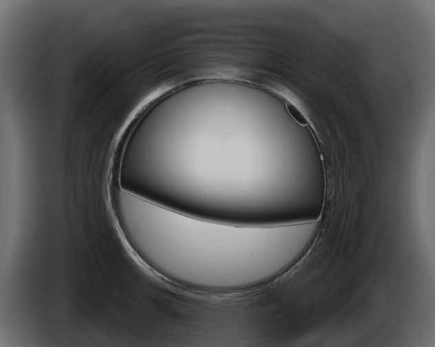 X0000086021139200703230927