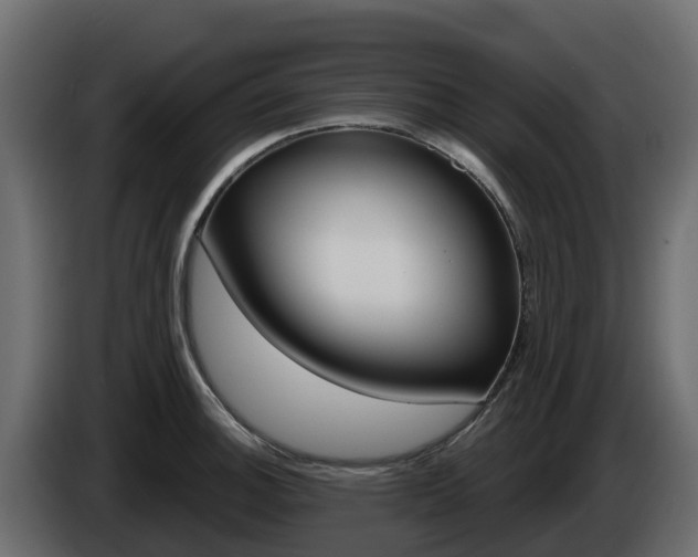 X0000086021140200703230927