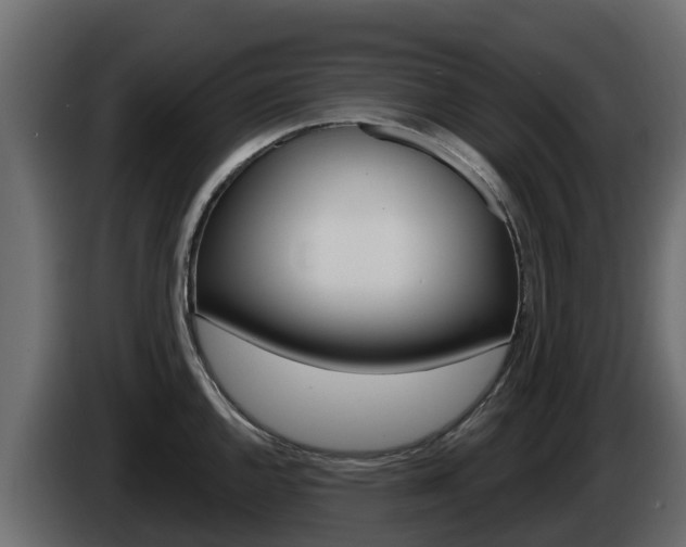 X0000086021144200703230927