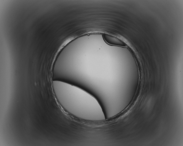 X0000086021145200703230927