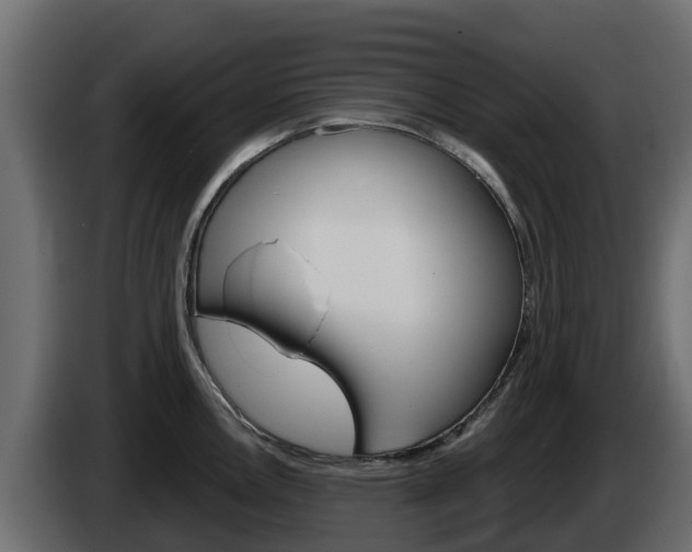 X0000086021146200703230927