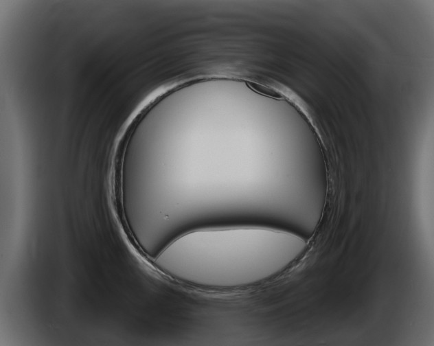 X0000086021147200703230927