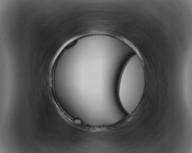 X0000086021148200703230927